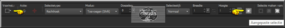 Activeer het Selectiegereedschap (toets S op het toetsenbord) - Aangepaste selectie