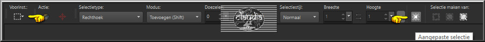 Activeer het Selectiegereedschap (toets S op het toetsenbord) - Aangepaste selectie