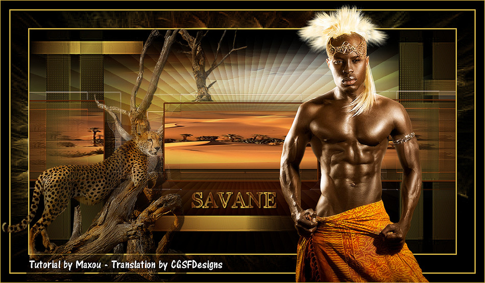 Les : Savane van Maxou