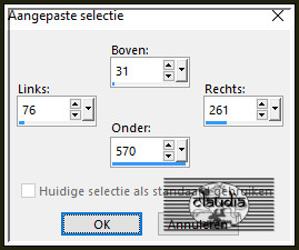 Activeer het Selectiegereedschap (toets S op het toetsenbord) - Aangepaste selectie en voer deze getallen in :