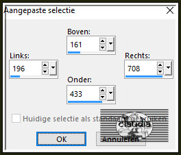 Activeer het Selectiegereedschap (toets S op het toetsenbord) - Aangepaste selectie en voer deze getallen in :