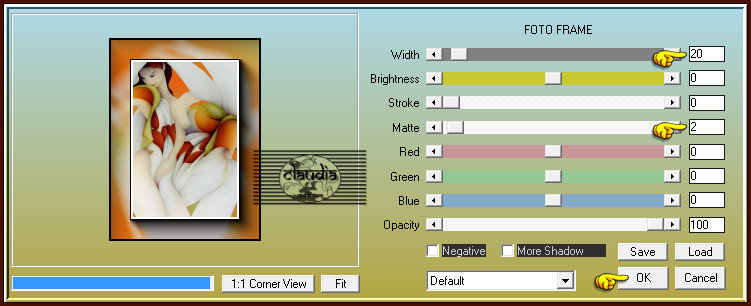 Effecten - Insteekfilters - AAA Frames - Foto Frame