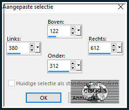 Activeer het Selectiegereedschap (toets S op het toetsenbord) - Aangepaste selectie en voer deze getallen in