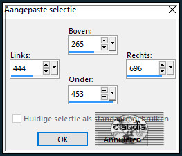 Activeer het Selectiegereedschap (toets S op het toetsenbord) - Aangepaste selectie en voer deze getallen in