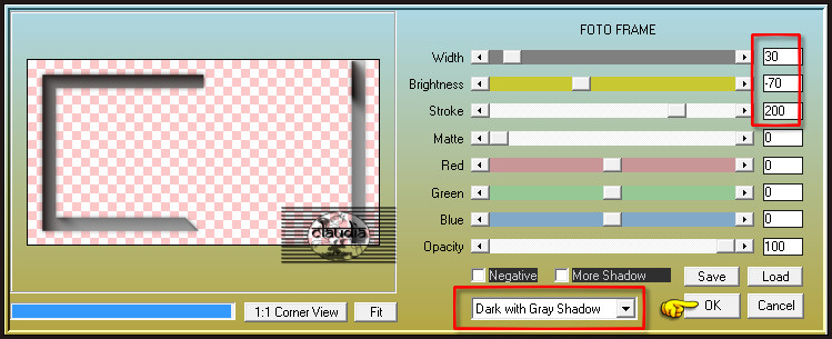 Effecten - Insteekfilters - AAA Frames - Foto Frame