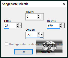 Activeer het Selectiegereedschap (toets S op het toetsenbord) - Aangepaste selectie en voer deze getallen in