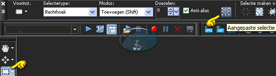Activeer het Selectiegereedschap (toets S op het toetsenbord) - Aangepaste selectie