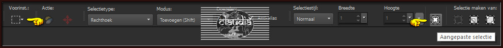 Activeer het Selectiegereedschap (toets S op het toetsenbord) - Aangepaste selectie