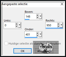 Activeer het Selectiegereedschap (toets S op het toetsenbord) - Aangepaste selectie en voer deze getallen in