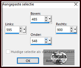 Activeer het Selectiegereedschap (toets S op het toetsenbord) - Aangepaste selectie en voer deze getallen in