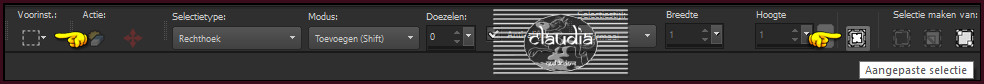 Activeer het Selectiegereedschap (toets S op het toetsenbord) - Aangepaste selectie
