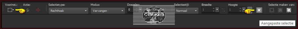 Activeer het Selectiegereedschap (toets S op het toetsenbord) - Aangepaste selectie