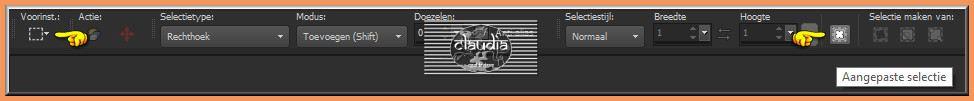 Activeer het Selectiegereedschap (toets S op het toetsenbord) - Aangepaste selectie