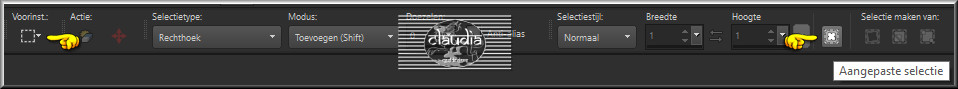 Activeer het Selectiegereedschap (toest S op het toetsenbord) - Aangepaste selectie