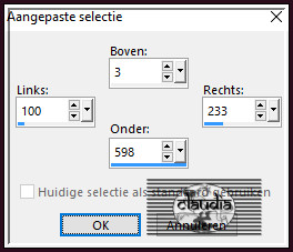 Activeer het Selectiegereedschap (toets S op het toetsenbord) - Aangepaste selectie en voer deze getallen in