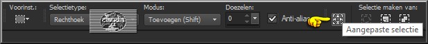 Activeer het Selectiegereedschap (toets S op het toetsenbord) - Aangepaste selectie