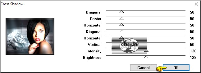 Effecten - Insteekfilters - Graphics Plus - Cross Shadow 