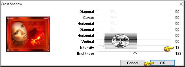 Effecten - Insteekfilters - Graphics Plus - Cross Shadow