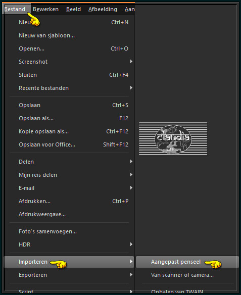 Bestand - Importeren - Aangepast penseel 