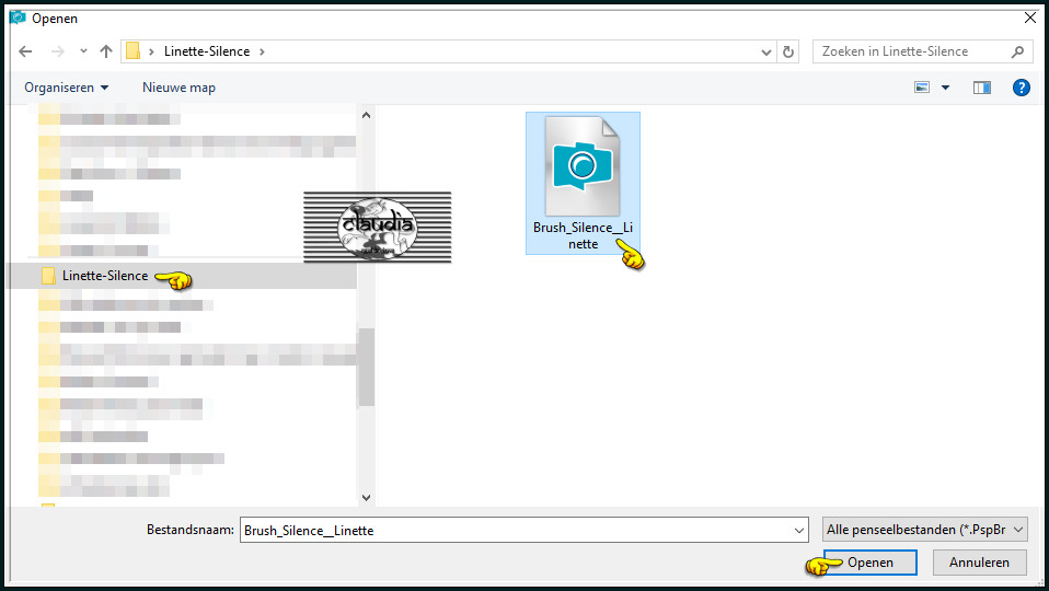 Klik 1 x op de brushe om het te activeren en klik daarna onderaan rechts op "Openen"