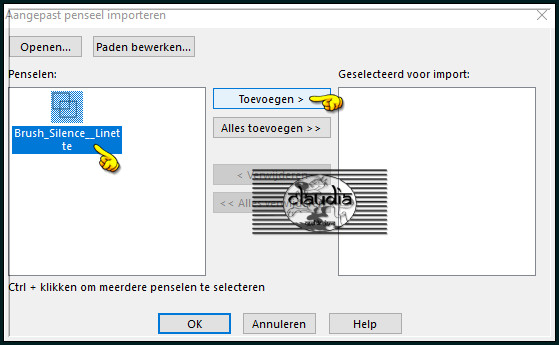 Klik de brushe aan en klik daarna op "Toevoegen" 