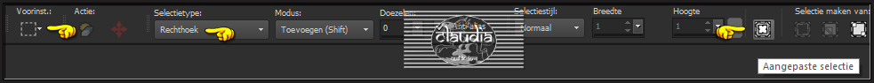 Activeer het Selectiegereedschap (toets S op het toetsenbord) - Aangepaste selectie