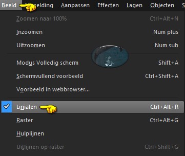 Activeer de linialen via : Beeld - Lininalen