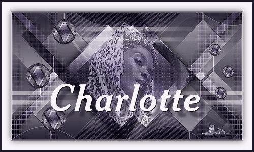 Titel Les : Charlotte van Linette