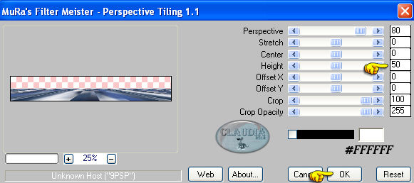 Instellingen filter MuRa's Meister - Perspective Tiling