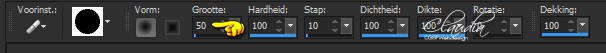 Zet de grootte op 50