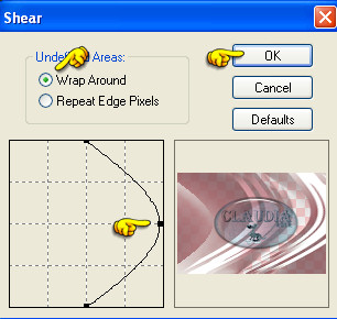 Instellingen filter Distort - Shear