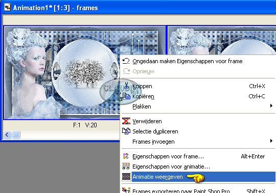 Klik met je rechtermuisknop in je 1ste frame en kies daar de optie Animatie weergeven