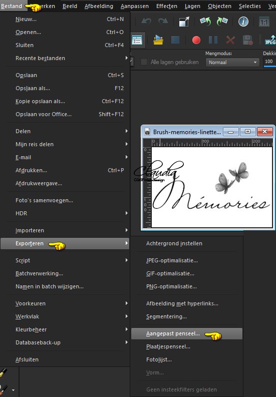 Bestand - Exporteren - Aangepast Penseel