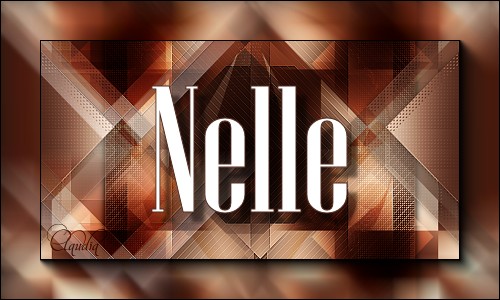 Titel Les : Nelle van Linette