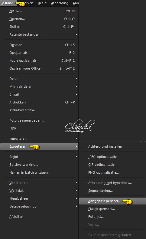 Bestand - Exporteren - Aangepast penseel