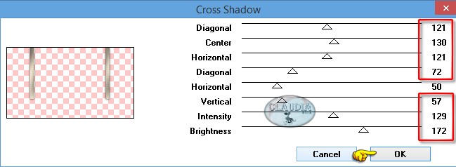 Instellingen filter Graphics Plus - Cross Shadow