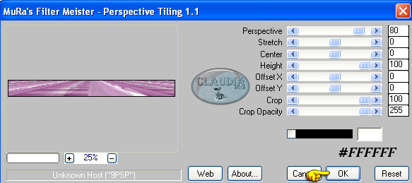 Instellingen filter MuRa's Meister - Perspective Tiling