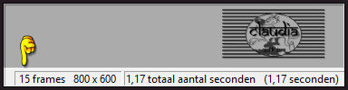 In totaal heb je nu 15 frames.