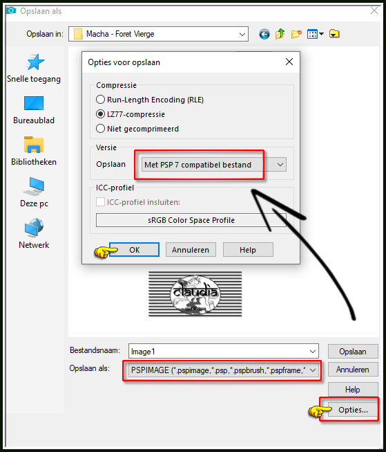 Sla je werkje op als psp-image formaat, compatibel met PSP 7 (dit om problemen met AS te voorkomen)