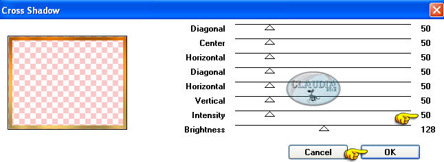 Instellingen filter Graphics Plus - Cross Shadow