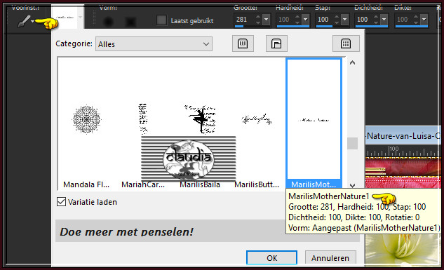 Activeer het "Penseelgereedschap" en zoek de Brushe "MarilisMotherNature1" met deze instellingen 