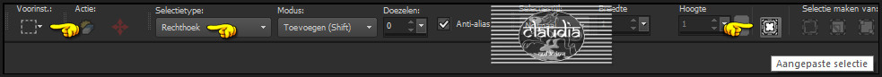 Activeer het Selectiegereedschap (toets S op het toetsenbord) - Aangepaste selectie :