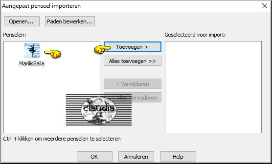 Klik op de brushe en daarn op "Toevoegen"