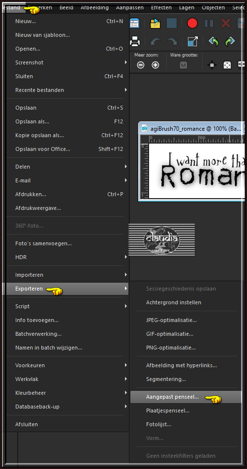 Bestand - Exporteren - Aangepast penseel