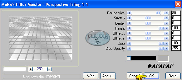 Instellingen filter MuRa's Meister - Perspective Tiling