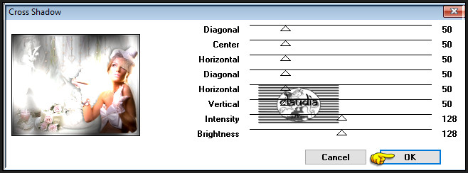 Effecten - Insteekfilters - Graphics Plus - Cross Shadow