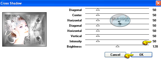 Instellingen filter Graphics Plus - Cross Shadow