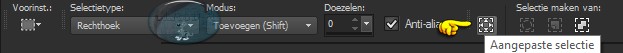 Selectiegereedschap - Aangepaste selectie
