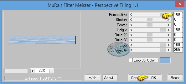 Instellingen filter MuRa's Meister - Perspective Tiling