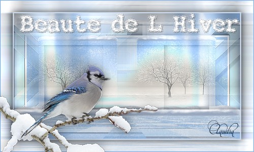 Titel Les : Beauté de l'hiver van Maxou